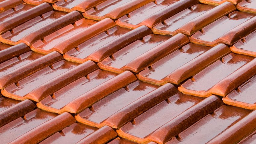 What We Repair - Roof Tiles