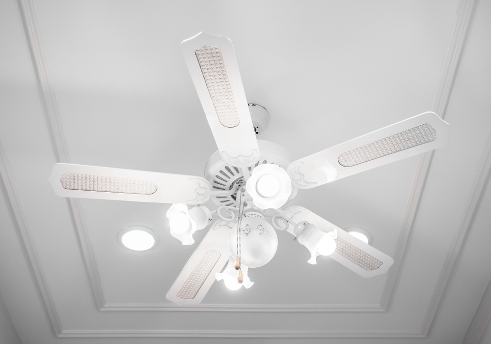 Ceiling fan