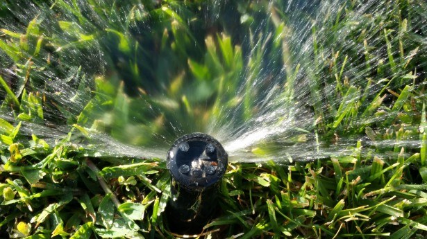 Sprinkler Image